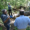 The Power of Media Engagement for Advocacy Groups in Northeast Tennessee