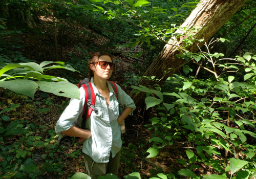 The Power of Advocacy: Promoting a Greener Northeast Tennessee