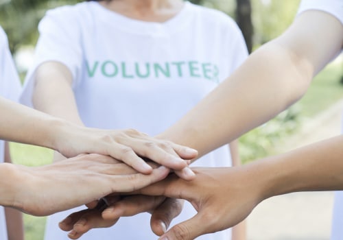 The Power of Volunteers in Advocacy Groups in Northeast Tennessee